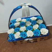 گیتار نیه وسایل آشپزخانه|گیتار، بیس، امپلیفایر|سنندج, |دیوار