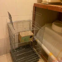 فروش قفس کاسکویی|لوازم جانبی حیوانات|سقز, |دیوار
