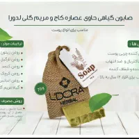 شامپو ضد ریزش مو لدورا|آرایشی، بهداشتی، درمانی|نیشابور, شهرک اندیشه|دیوار