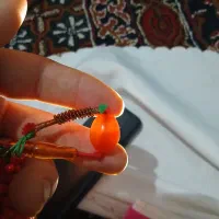 یک مهره کهنه|کلکسیون اشیاء عتیقه|اقبالیه, |دیوار