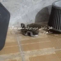 لوازم پرایدونیسان