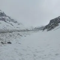 نیازمند کارگر دامداری