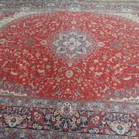 قالی تمیز تمیز|فرش|شیراز, درکی|دیوار