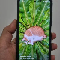 گوشی شیائومی Poco X3 Pro 256g - 8g Ram