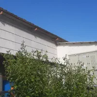 استخدام نیرو در کارخانه جوجه کشی