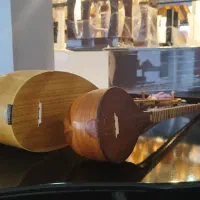 فروش ویژه انواع ساز تک و عمده