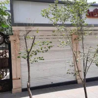 فروش مغازه ۲۵ متری در تهرانسر