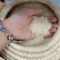 برنج عنبربو دشت دیره