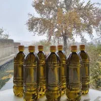 روغن زیتون صدرصد طبیعی و به شرط