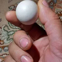 سنگ الماس آسیاب|کلکسیون اشیاء عتیقه|زنجان, |دیوار