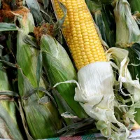 بلال تازه و خوشمزه + هایپر میوه گلچین|خوردنی و آشامیدنی|شاهدشهر, |دیوار