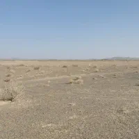 زمین چمگ چهارا سمت راست|فروش زمین و ملک کلنگی|زاهدان, |دیوار