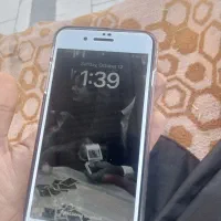 iphone 8 plus|موبایل|ایرانشهر, |دیوار