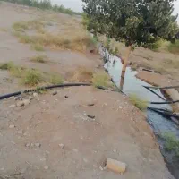 باغ بهمراه آب|فروش زمین و ملک کلنگی|خوسف, |دیوار