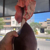 جگر بره کیلویی ۸۰۰ هزار