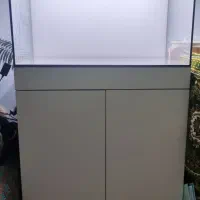 آکواریوم ریملس سوپرکلیر