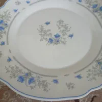 بشقاب پلو خوری