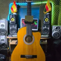 گیتار کلاسیک زیبا حرفه ای به همراه سافت کیس رایگان|گیتار، بیس، امپلیفایر|تهران, نارمک|دیوار