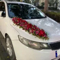 اجاره خودرو vip تشریفات کرایه ماشین عروس|خودرو اجاره‌ای|مشهد, فرهنگ|دیوار