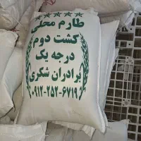 برنج شکری عمده و جزئی