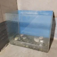 آکواریوم شیشه خم