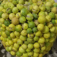 لیموترش
