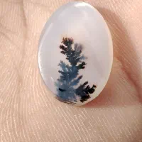 شجر|جواهرات|نورآباد, |دیوار