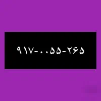 ۹۱۷-۰۰۵۵-۲۶۵
