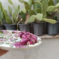 خدمات باغبانی هرس وکاشت