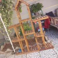 استند چوبی گل  در حد نو