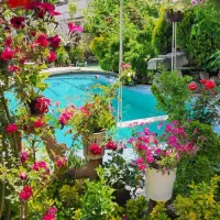 ویلا و باغ درشیراز