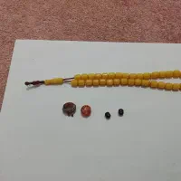 سندلوس مهره گهنه