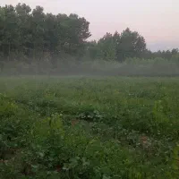 زمین باغی بادرخت روستای خطیبان