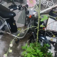 موتور سیگلت برقی سالم