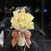 افر نرگس|گل و گیاه طبیعی|مشهد, هفت تیر (حافظ)|دیوار