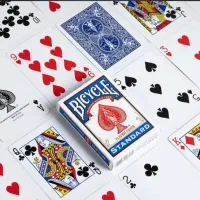 پاسور