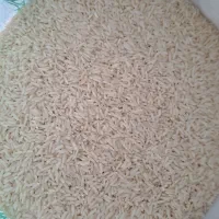 برنج هاشمی گیلان