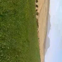 فروش زمین کشاورزی|فروش دفتر صنعتی، کشاورزی، تجاری|بیجار, |دیوار