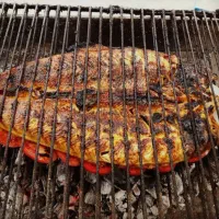 کباب ماهی‌ژینگه|ماهی|مریوان, |دیوار