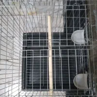 قفس بزرگ ۱۰۳۲ بزرگ سقف باز شو|لوازم جانبی حیوانات|قرچک, باقرآباد|دیوار