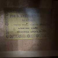 گیتار Almeria Spanish|گیتار، بیس، امپلیفایر|تهران, کوی بیمه|دیوار