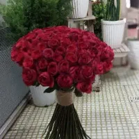 صد شاخه گل طبیعی فقط۱/۵۰۰تومن