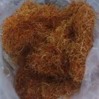 ریشه زعفران (سفید پایگاهی) یک کیلو 25 تومان