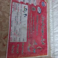 فرش  ۹متری دو عدد|فرش|بابل, |دیوار