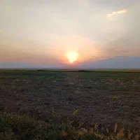 تدریس. ومشاوره