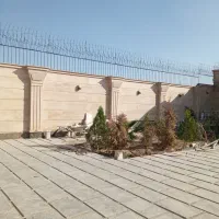 نصب شاخ گوزنی با بهترین قیمت