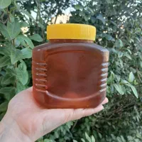 عسل تبریز|خوردنی و آشامیدنی|بندر ترکمن, |دیوار