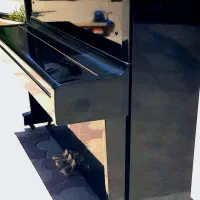 پیانو آکوستیک یاماها u1|پیانو، کیبورد، آکاردئون|صدرا-فارس, فاز ۱|دیوار