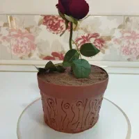 کیک