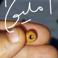 مهره قدیمی و کلی انگشتر قدیمی|جواهرات|درگهان, |دیوار